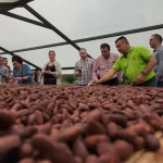 Llevar el cacao sostenible al mundo